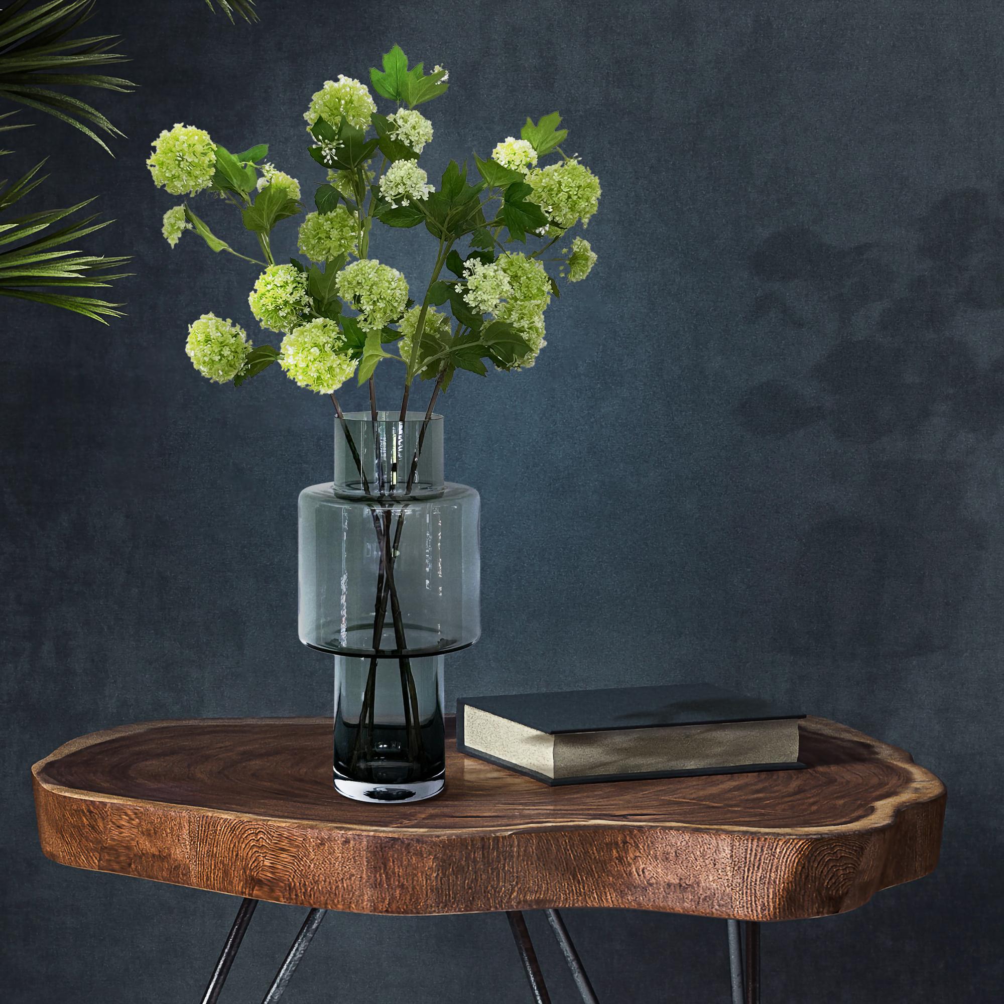 Viburnum Opulus grene - x4 - 75cm